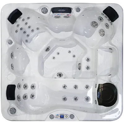 Avalon EC-849L hot tubs for sale in Pharr