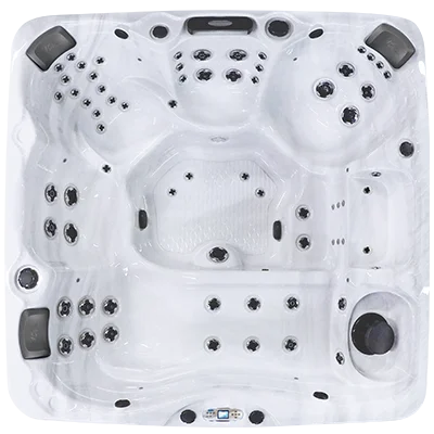 Avalon EC-867L hot tubs for sale in Pharr